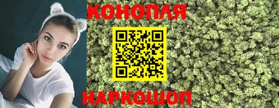 гидра Кандалакша